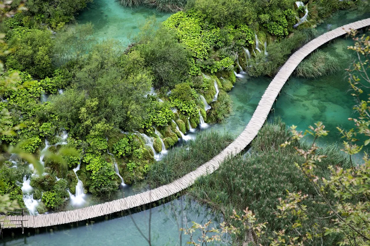 adriatic-plitvice-nature-road-summer Plitvice lakes walking path in Croatia’s natural landscape