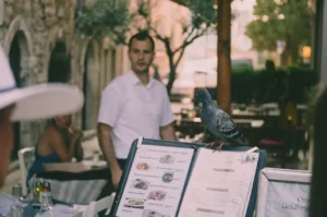 Restaurant menu outside in a Croatian old town with a pigeon sitting on top