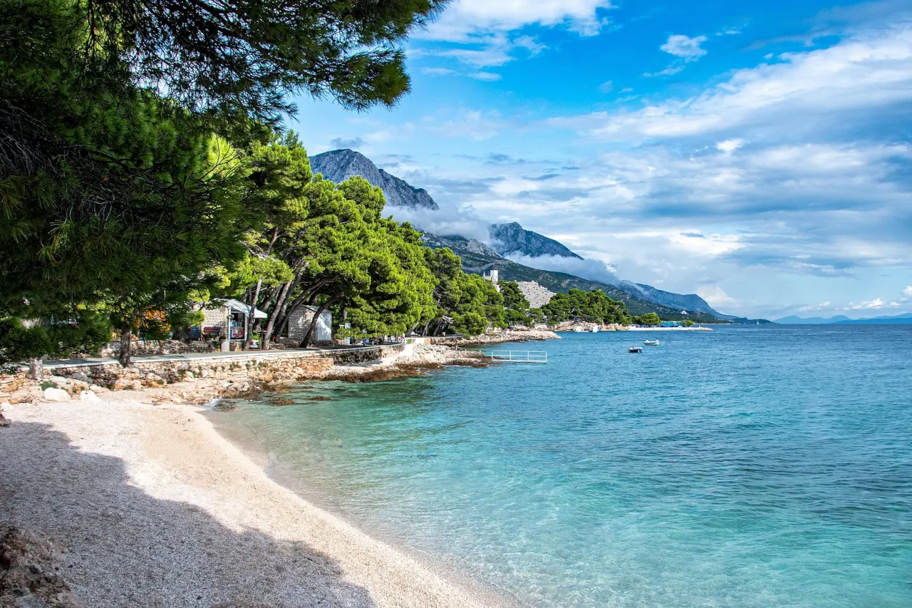 Quiet pebble beach on the Croatian coast with clear turquoise sea and pine trees