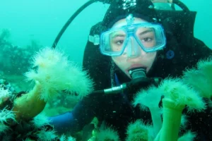 Scuba diver exploring strange sea creatures in Croatia Adriatic Sea