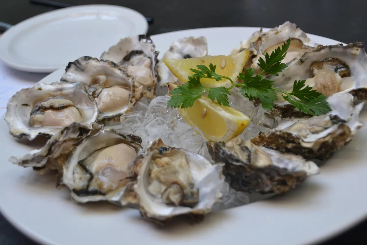 dalmatian-oysters-fresh-lemon-ice Fresh oysters from the Adriatic served with lemon on ice