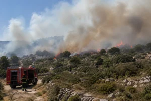 Firefighters battling a fire on Brač across rocky low vegetation