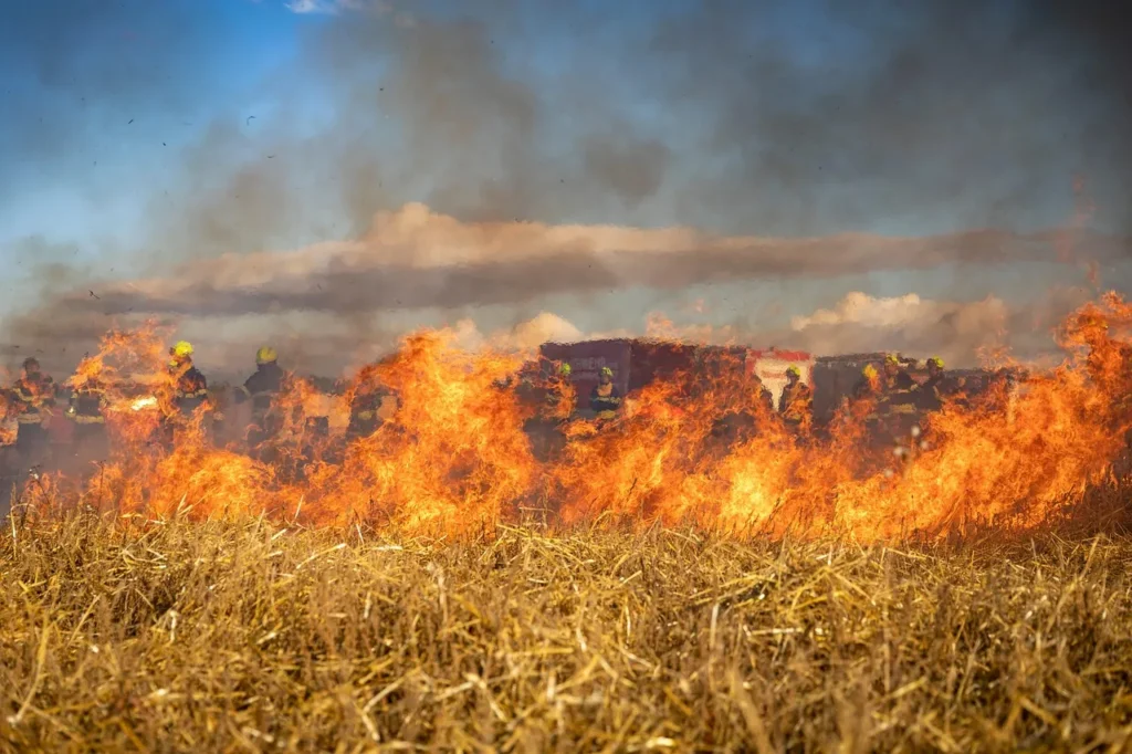 Firefighters battling a grass fire in daylight, illustrating wildfires in Croatia