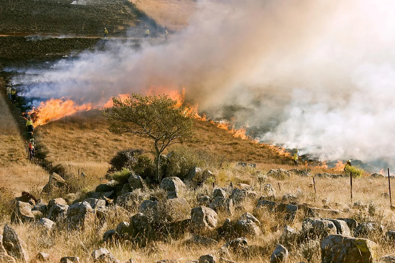 Firefighters battling a grass fire, illustrating the Current Croatia wildfires update