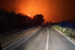 Korčula wildfire burning near a road on the Croatian island