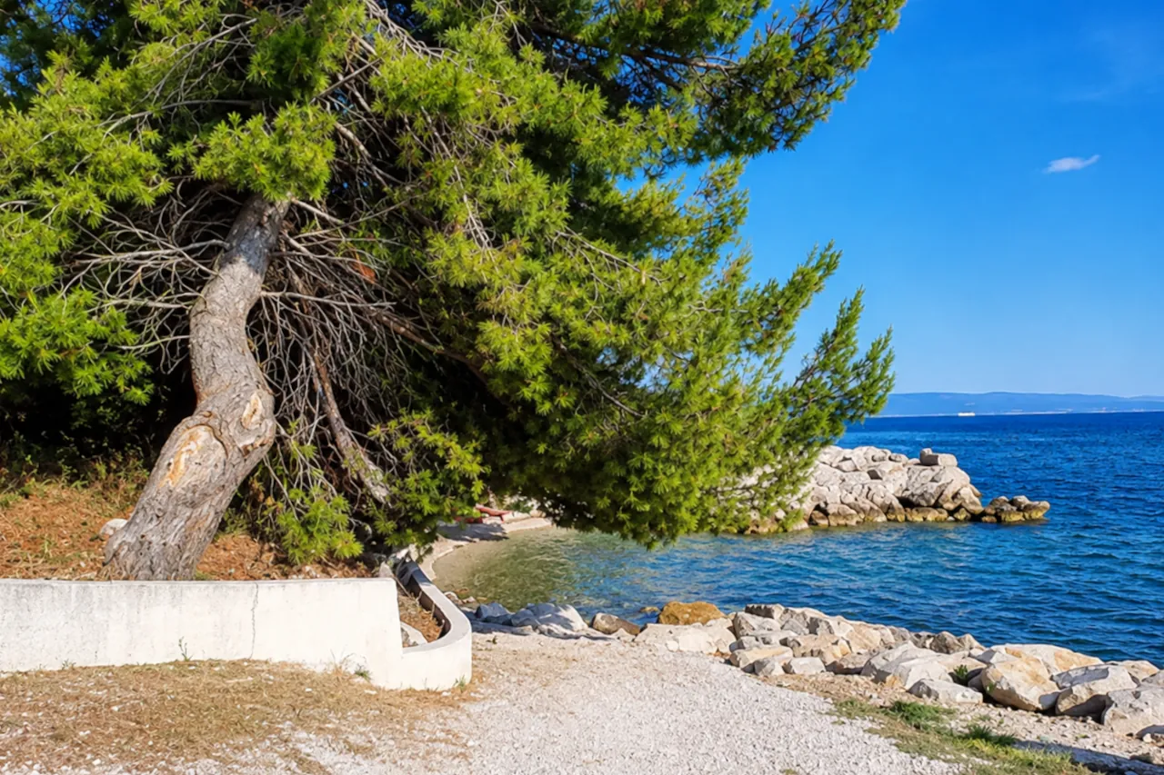Dog beaches in Split: Kašjuni Dog Beach in a small rocky cove surrounded by pine trees